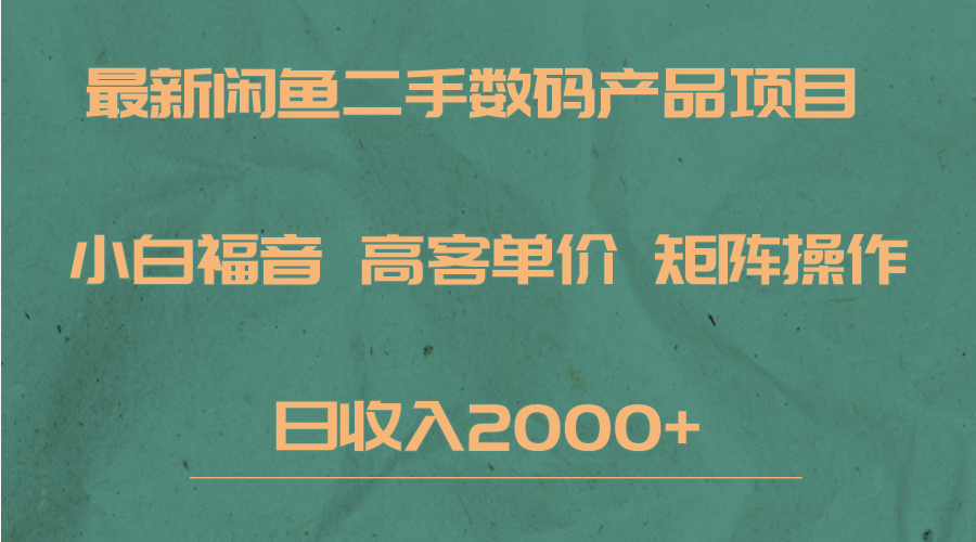 最新闲鱼二手数码赛道，小白福音，高客单价，矩阵操作，日收入2000+-靠谱项目库