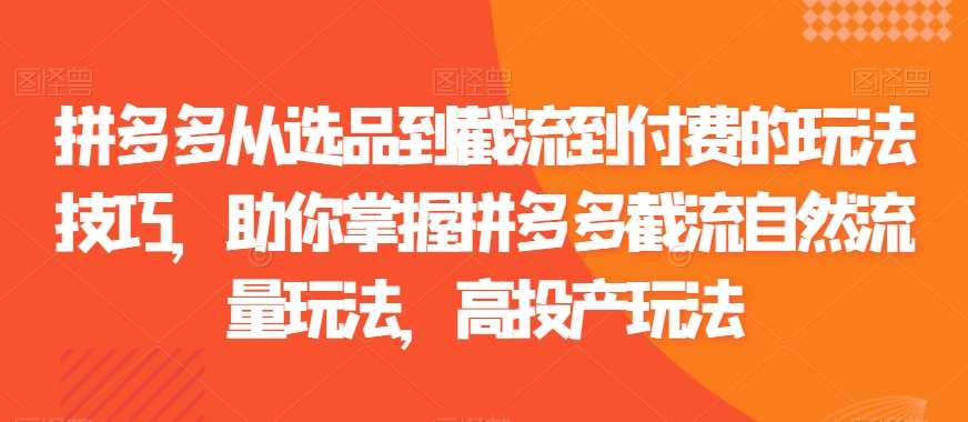 拼多多从选品到截流到付费的玩法技巧，助你掌握拼多多截流自然流量玩法，高投产玩法-靠谱项目库