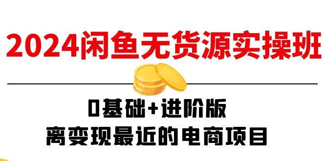 （11535期）2024闲鱼-无货源实操班：0基础+进阶版，离变现最近的电商项目（15节）-靠谱项目库