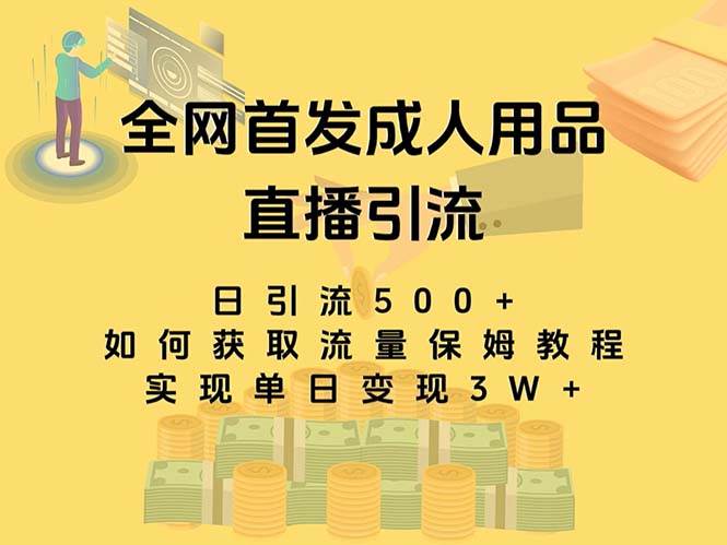 最新全网独创首发,成人用品直播引流获客暴力玩法,单日变现3w保姆级教程-靠谱项目库
