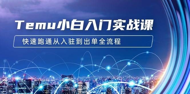 （9295期）Temu小白入门实战课：跨境拼多多电商培训 快速跑通从入驻到出单全流程-12节-靠谱项目库