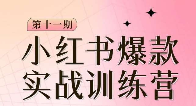 小红书博主爆款训练营第11期，手把手教你从0-1做小红书，从定位到起号到变现-靠谱项目库