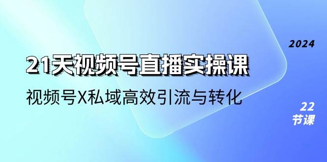 （10966期）21天-视频号直播实操课，视频号X私域高效引流与转化（22节课）-靠谱项目库