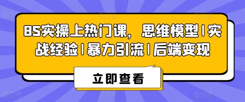 8S实操上热门课，思维模型|实战经验|暴力引流|后端变现-靠谱项目库