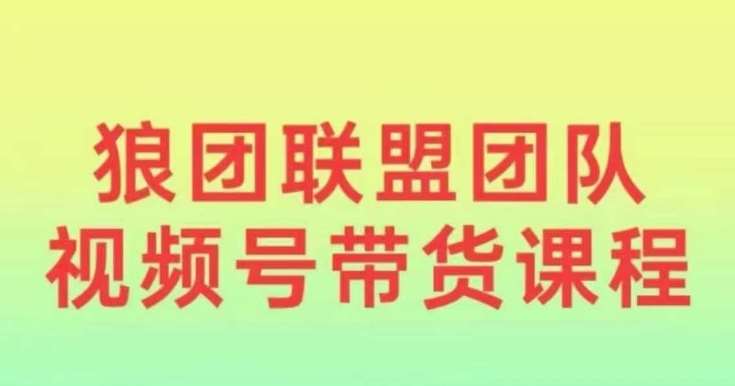 狼团联盟2024视频号带货，0基础小白快速入局视频号-靠谱项目库
