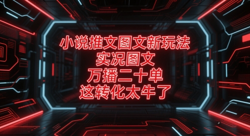 小说推文图文新玩法，实况图文，万播二十单，这转化太牛了！-靠谱项目库