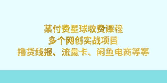 某付费星球课程：多个网创实战项目，撸货线报、流量卡、闲鱼电商等等-靠谱项目库