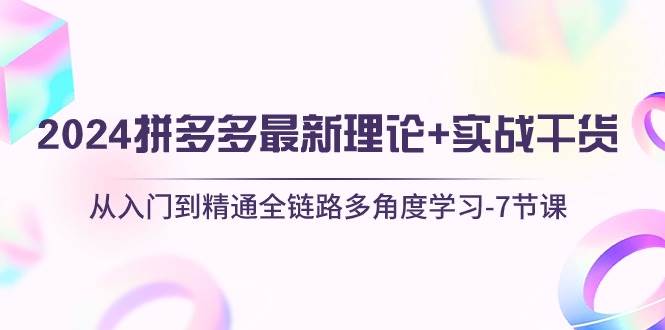 2024拼多多 最新理论+实战干货，从入门到精通全链路多角度学习-7节课-靠谱项目库