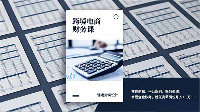 （17036期）跨境电商财务课，核算逻辑、平台规则、账务处理，掌握全盘账务，胜任高薪岗位月入1.5万+-靠谱项目库