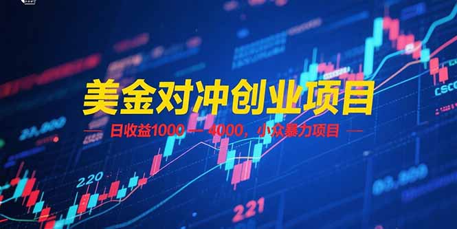 (15187期)美金对冲创业项目,日收益 1000 - 4000,小众暴力项目-靠谱项目库