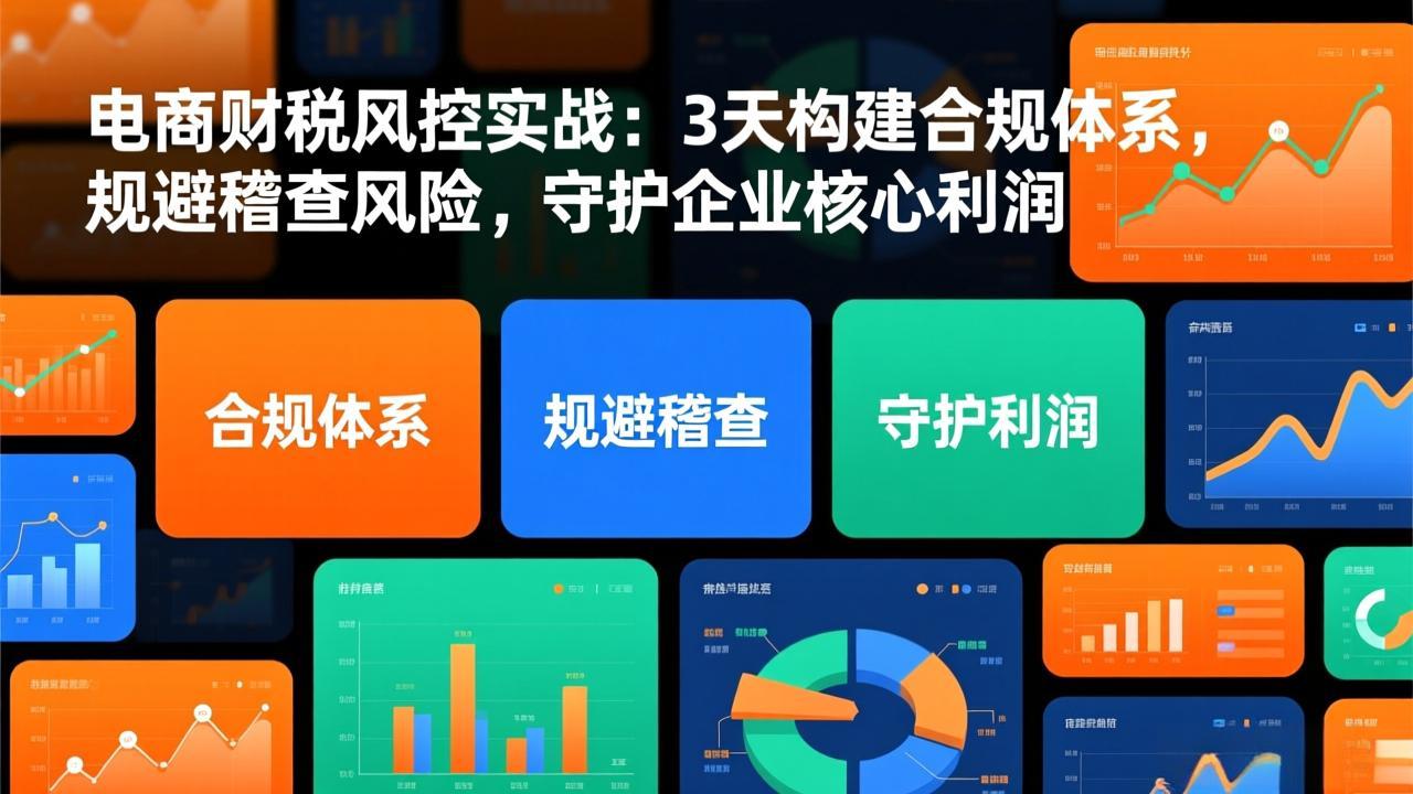 （17197期）电商财税风控实战：3天构建合规体系，规避稽查风险，守护企业核心利润-靠谱项目库