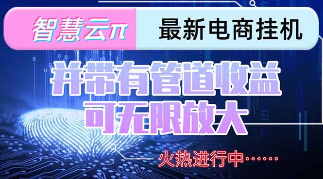 （15314期）智慧云π电脑挂机单机每天收益300—500+ 并带有团队管道收益 可无限放大-靠谱项目库