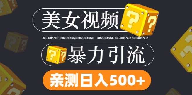 搬运tk美女视频全网分发，日引s粉300+，轻松变现，不限流量不封号【揭秘】-靠谱项目库