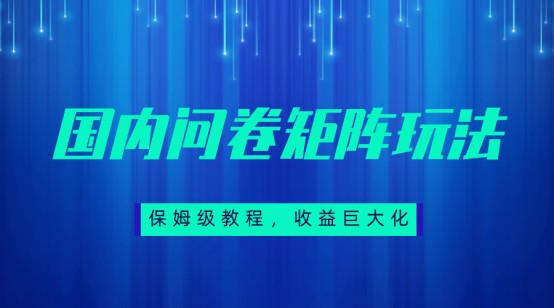 保姆级教程,国内问卷矩阵玩法,轻松赚收益-靠谱项目库