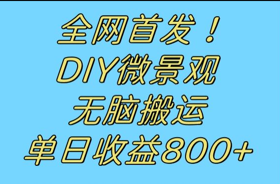 全网首发冷门赛道!DIY微景观,无脑搬运视频,日收益800+-靠谱项目库