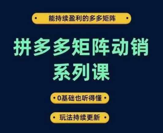 拼多多矩阵动销系列课，能持续盈利的多多矩阵，0基础也听得懂，玩法持续更新-靠谱项目库