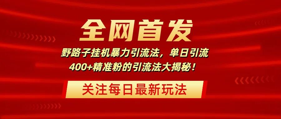 全网首发,野路子挂机暴力引流法,单日引流400+精准粉的引流法大揭秘!-靠谱项目库