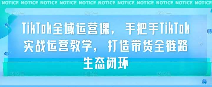 TikTok全域运营课，手把手TikTok实战运营教学，打造带货全链路生态闭环-靠谱项目库