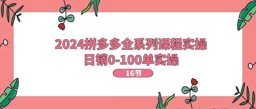 2024拼多多全系列课程实操，日销0-100单实操【16节课】-靠谱项目库