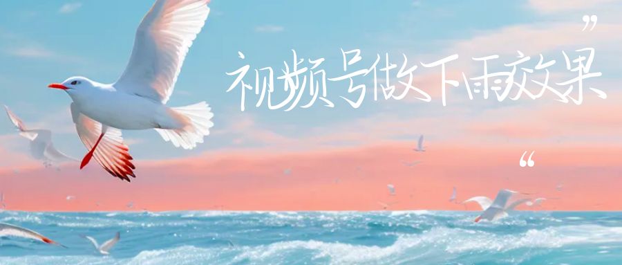 视频号做下雨视频,一个账号一周涨粉10W+,日入1000+附保姆级教程-靠谱项目库