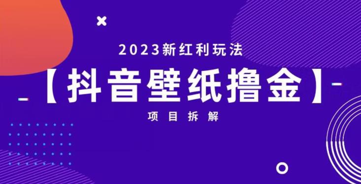 抖音壁纸小程序创作者撸金项目，2023新红利玩法【项目拆解】-靠谱项目库