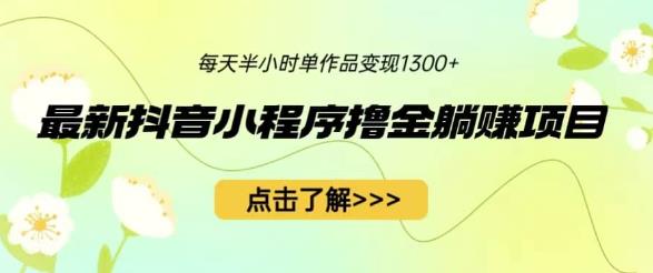 最新抖音小程序撸金躺赚项目，一部手机每天半小时，单个作品变现1300+【揭秘】-靠谱项目库