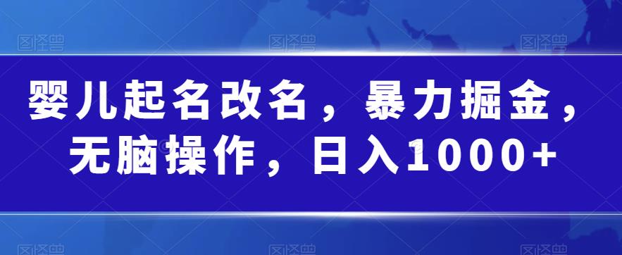 婴儿起名改名，暴力掘金，无脑操作，日入1000+【揭秘】-靠谱项目库