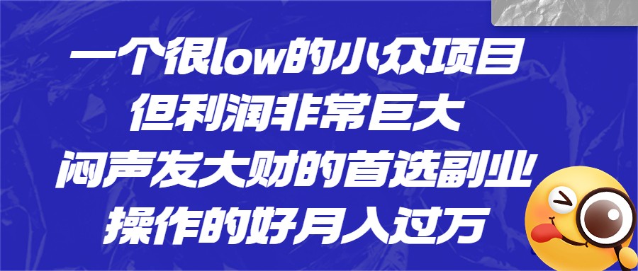 一个很low的小众项目,但利润非常巨大,闷声发大财的首选副业,操作的好月入过万-靠谱项目库