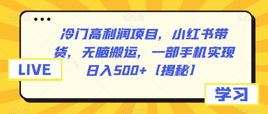冷门高利润项目，小红书带货，无脑搬运，一部手机实现日入500+【揭秘】-靠谱项目库