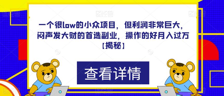 一个很low的小众项目,但利润非常巨大,闷声发大财的首选副业,操作的好月入过万【揭秘】-靠谱项目库