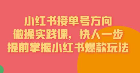 接单号方向·小红书微操实践课，快人一步，提前掌握小红书爆款玩法-靠谱项目库