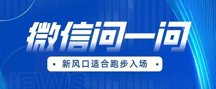 全网首发微信问一问新风口变现项目(价值1999元)【揭秘】-靠谱项目库