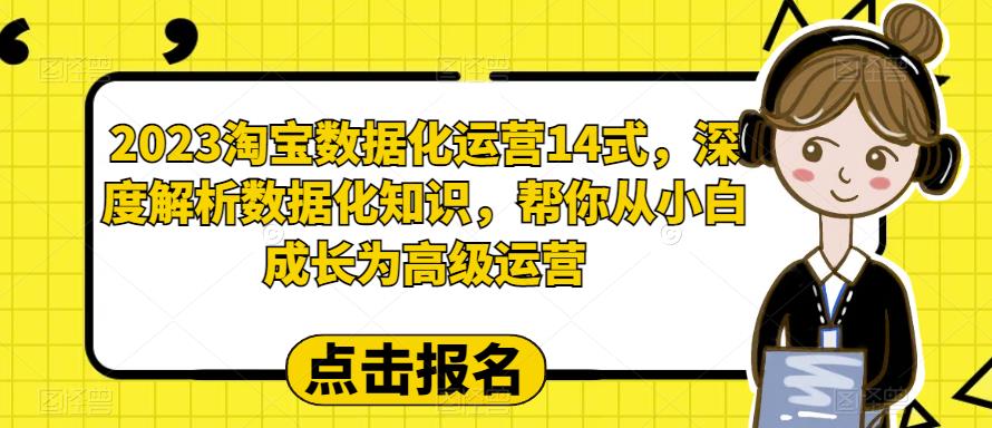 2023淘宝数据化运营14式，深度解析数据化知识，帮你从小白成长为高级运营-靠谱项目库