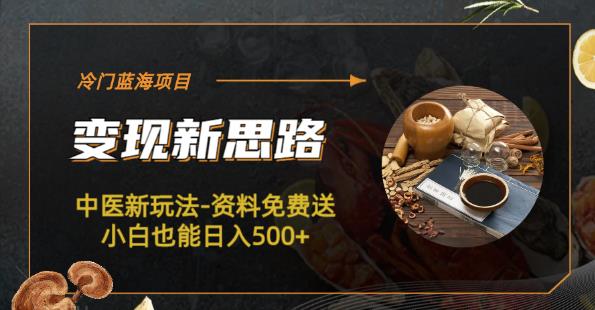 冷门蓝海项目-中医新玩法-资料免费送小白也能日入500+【揭秘】-靠谱项目库
