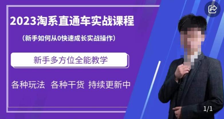 2023淘系直通车保姆式运营讲解,新手如何从0快速成长实战操作,新手多方位全能教学-靠谱项目库