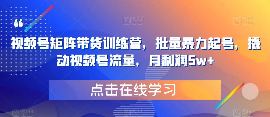 视频号矩阵带货训练营，批量暴力起号，撬动视频号流量，月利润5w+-靠谱项目库