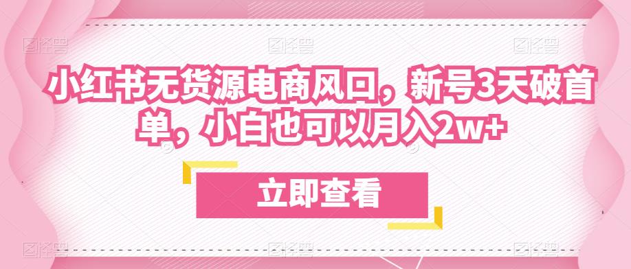 众狼电商余文小红书无货源电商风口，新号3天破首单，小白也可以月入2w+-靠谱项目库