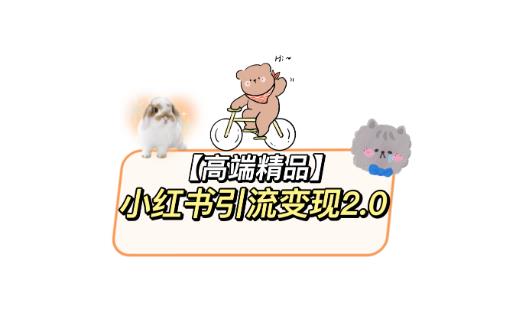 小红书最新引流变现教程，全网最新最详细的视频教程以及素材-靠谱项目库