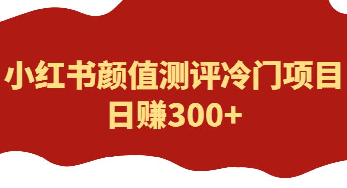 外面1980的项目,小红书颜值测评冷门项目,日赚300+【揭秘】-靠谱项目库