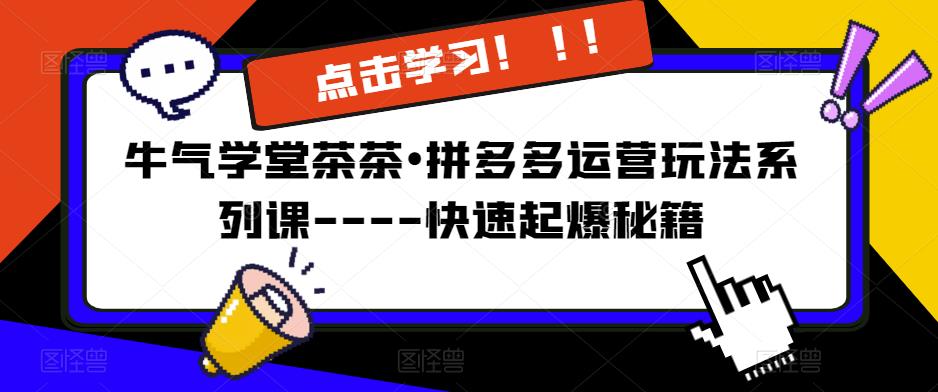 牛气学堂茶茶•拼多多运营玩法系列课—-快速起爆秘籍【更新】-靠谱项目库