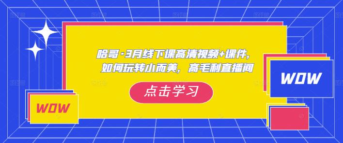 哈哥·3月线下实操课高清视频+课件，如何玩转小而美，高毛利直播间-靠谱项目库