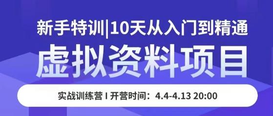 虚拟资料项目新手特训,10天从入门到精通,保姆级实操教学-靠谱项目库