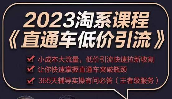 2023直通车低价引流玩法课程,小成本大流量,低价引流快速拉新收割,让你快速掌握直通车突破瓶颈-靠谱项目库