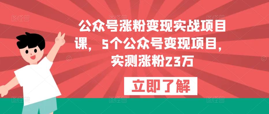 公众号涨粉变现实战项目课，5个公众号变现项目，实测涨粉23万-靠谱项目库