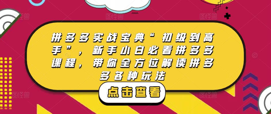 拼多多实战宝典“初级到高手”，新手小白必看拼多多课程，带你全方位解读拼多多各种玩法-靠谱项目库