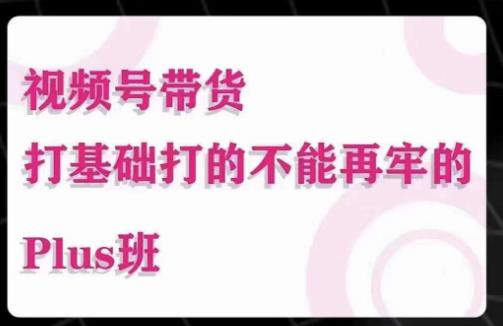 大播汇·视频号带货Puls班,视频号底层逻辑,起号自然流鱼塘等玩法-靠谱项目库
