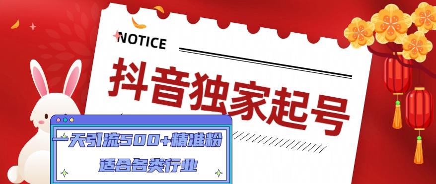 抖音独家起号,一天引流500+精准粉,适合各类行业(9节视频课)-靠谱项目库