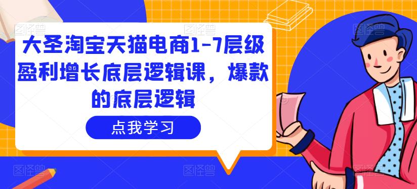 大圣淘宝天猫电商1-7层级盈利增长底层逻辑课,爆款的底层逻辑-靠谱项目库