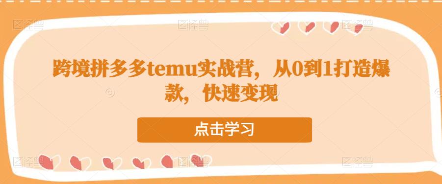 跨境拼多多temu实战营，从0到1打造爆款，快速变现-靠谱项目库