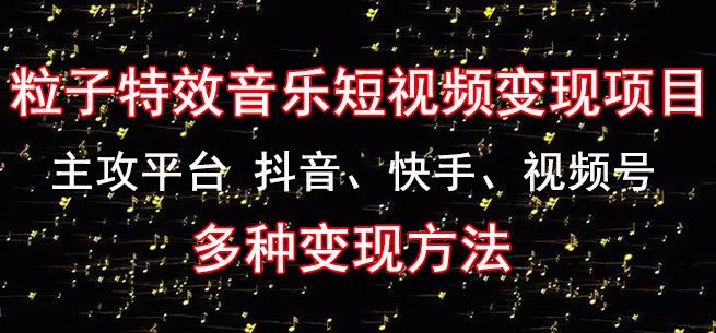 黄岛主《粒子特效音乐短视频变现项目》主攻平台抖音、快手、视频号多种变现方法-靠谱项目库